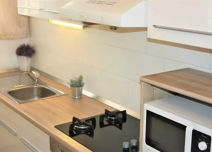Apartment Karlo *